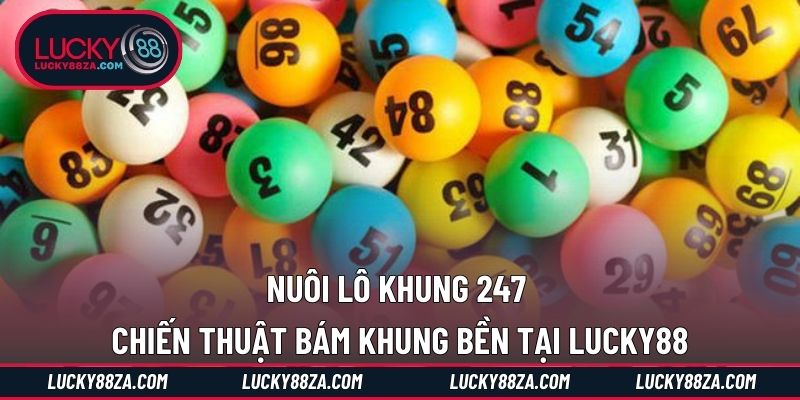 Nuôi Lô Khung 247